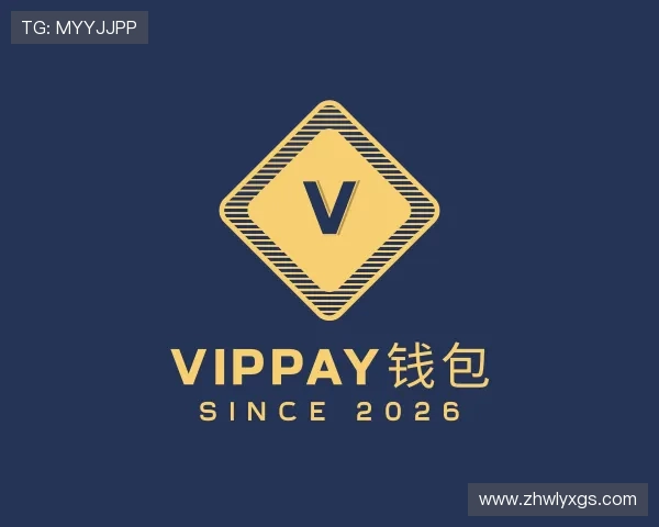 知道VipPay钱包